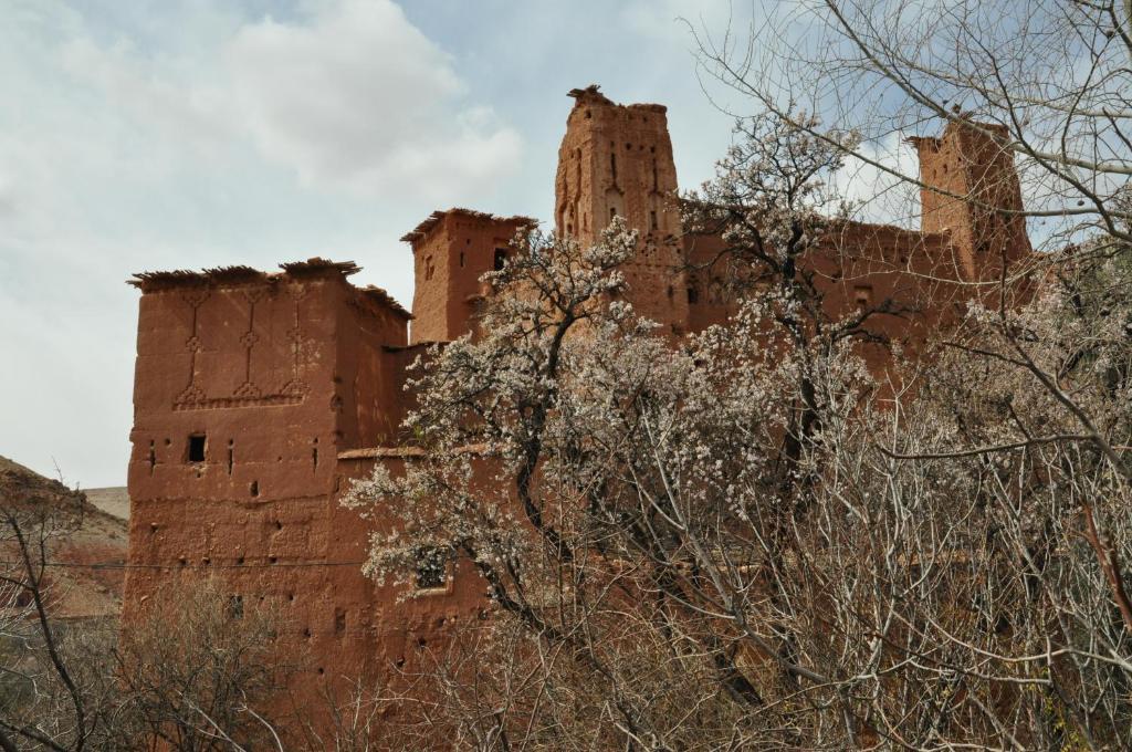 Kasbah Tigmi N'Oufella Bed & Breakfast Telouet Exterior photo